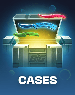 Cases